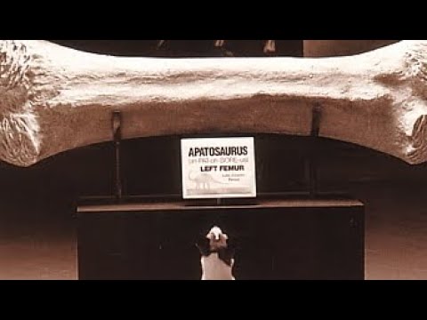 Lil Bibben - Dog 2 Bone