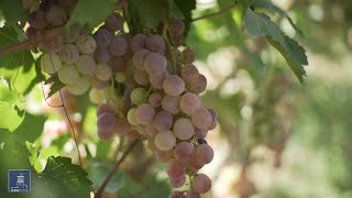 Հրապարակում 19.09.2020