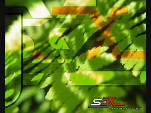 Requiem for a Dream: SGX Remix