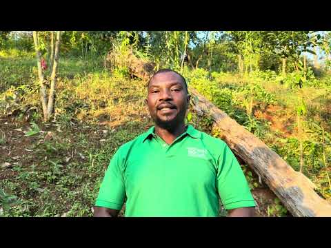 Khalifa von Forest Focus erklärt das Tree-Tracking für Washo