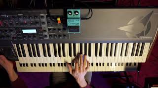 Dream Theater - A Change Of Seasons (Derek Sherinian Keyboard Solo)