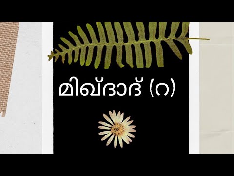 Miqdad ibn Amr ||History|| Star's of universe||