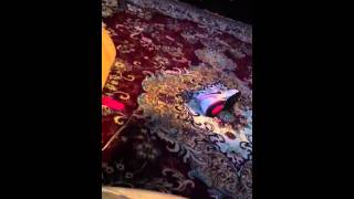 Brown vs. 'Byack' Shoes