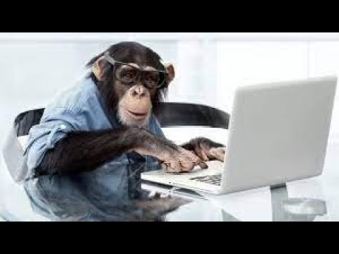 7 Days of Dummies Pt. 1 (Continued)