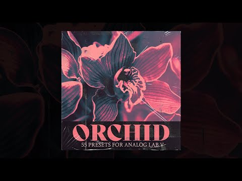 Analog Lab Preset Bank - "Orchid" | 55 Presets for Analog Lab V