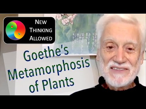 Goethe's Metamorphosis of Plants with Rolf Sattler