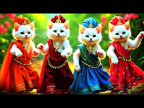  😺 Adorable Kitty Dancing to the Beat😻 Happy Cat Dance Party – So Cute!Funny Cat Dancing Like a Pro😺