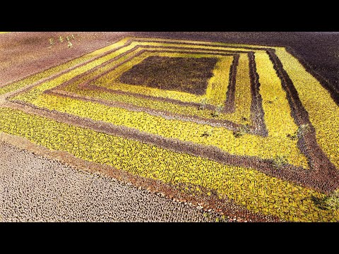 80.000 ROMAN GENERALS & ARCHERS vs 1.000.000 ORCS | UEBS 2