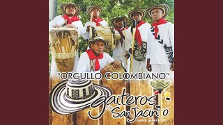 Mosaico Gaiteros, Animalito del Monte, Donde Canta la Paloma, la Vaina Ya Se Formó (Cover)