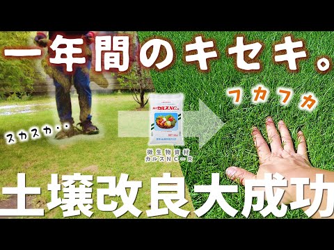 庭のメンテナンス – 庭の土壌を改善する自然な方法  庭園