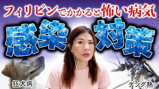 【デング・狂犬病】フィリピンでかかると怖い病気・感染対策