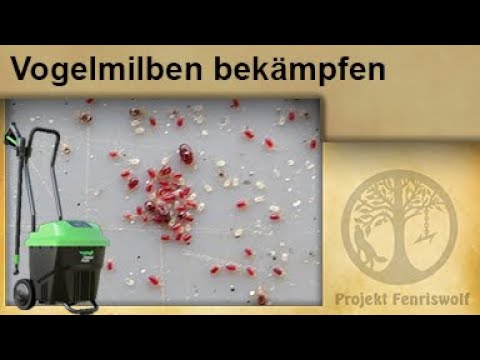 Chicken coop - Fight mites with steam - Get rid of bird mites in the coop without poison - Unkrau...