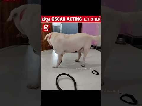 ஊருக்கு போறேன்னு சொன்னவங்க இப்படி ஒரு twist இருக்கும்னு எதிர்பாக்கல