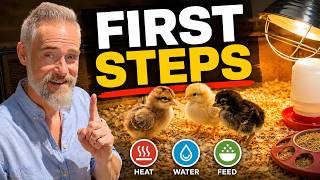 Your Chicks Arrived: Now What?
