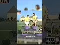 woman crushing grapes fall #shorts
