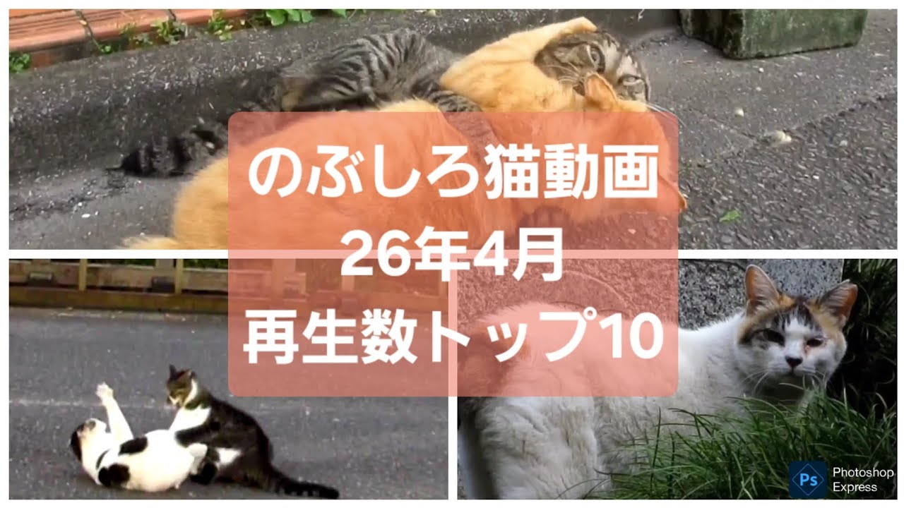 YouTubeサムネイル