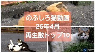 [野良猫]のぶしろ猫動画26年4月再生数トップ10！[Stray Cat] Nobushiro Cat Video Top 10 Views in April 2026!