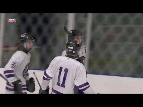 Woodhaven at Jenison | Hockey | 1-18-20 | STATE CHAMPS! MI