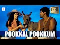 Pookkal Pookkum 8K 4K Video Song Aarya Amy Jackson G V Prakash Kumar Madharasapattinam