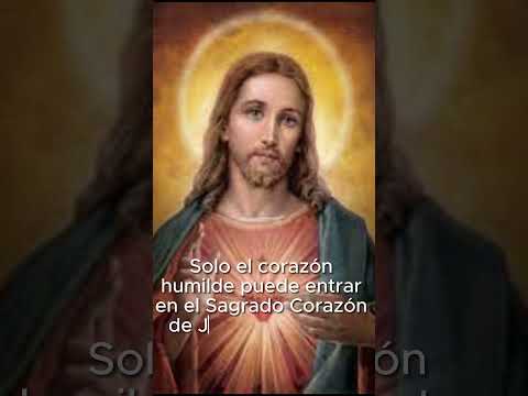 Frases de Santos - Santa Margarita Maria- #frases #santo #catholicsaint #amor #fe  #history