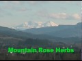 Mountain Rose Herbal Anthem - Founding Fathers