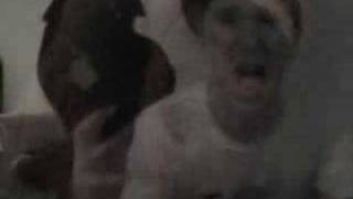 Green Day - Jesus of Suburbia