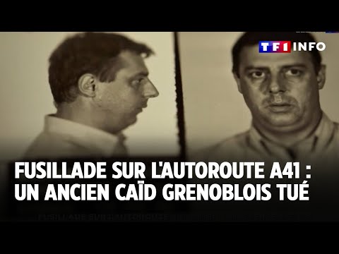 Fusillade sur l'autoroute A41 : un ancien caïd de la pègre grenobloise tué｜TF1 INFO