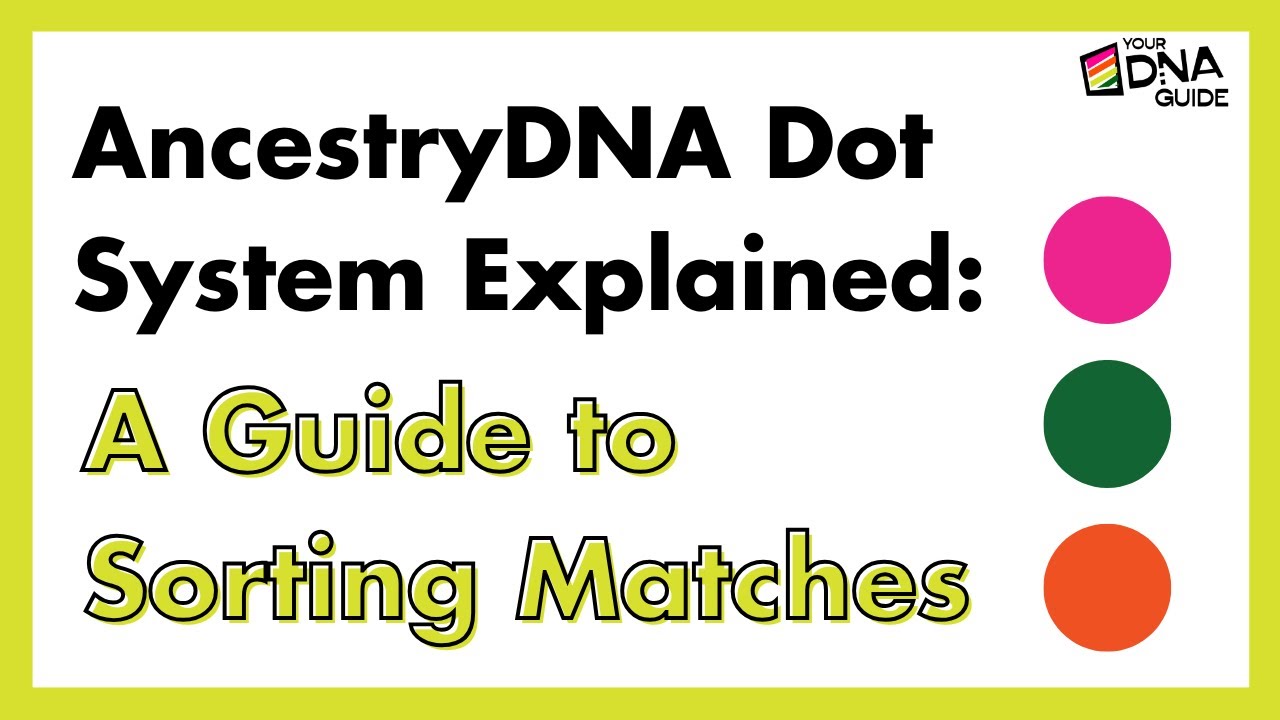 How to Use the AncestryDNA Dot System | Organize Your DNA Matches Like a Pro
