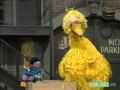 Classic Sesame Street Everyone In My Family