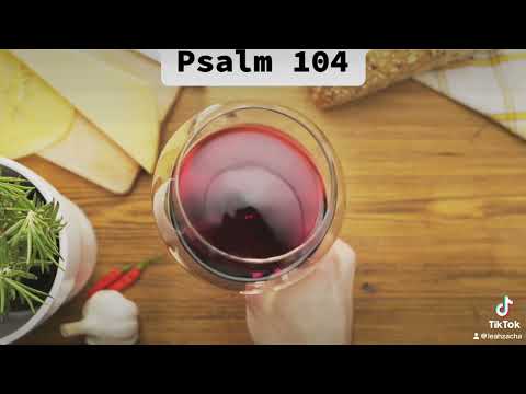 The Majesty Of Creation