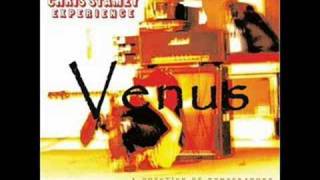 The Chris Stamey Experience - Venus