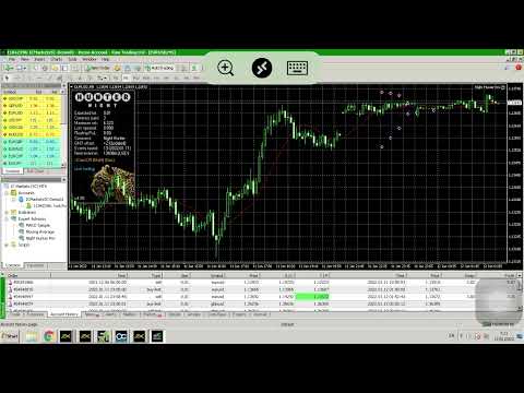 FOWARD TEST EA NIGHT HUNTER… LETS SEE ‼️‼️ KALAU PROFITABLE LANJUT REAL ACC