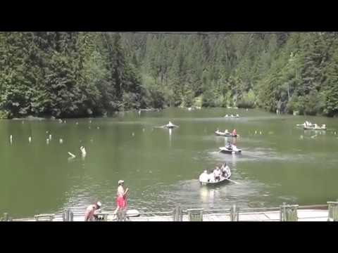 Gyilkos-tó - Oltár-kő