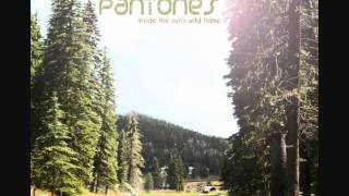 The Pantones - Too Tired To Fight