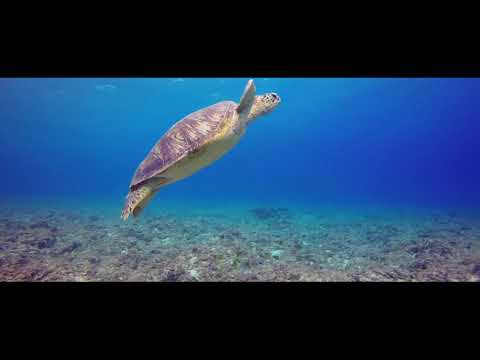Wallis and Futuna_Promo Clip - SPTO