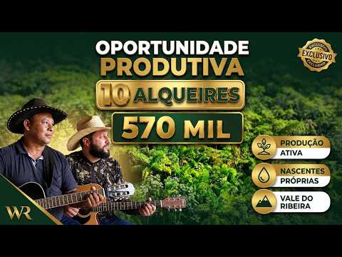 Sítio 10 Alqueires em Sete Barras- SP | 70 Mil Pés de Palmito 570 mil