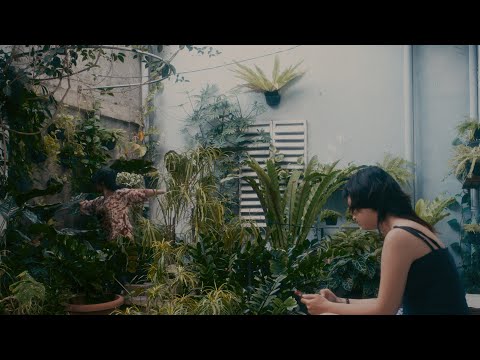 RIGHT BELLOW THE NECK Trailer