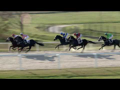 2019.11.17. 05. futam - GUBACSI DŰLŐ HENDIKEP (II.o.) (szintetikus pálya)