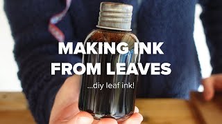 Making Ink From Leaves... DIY Leaf Ink!