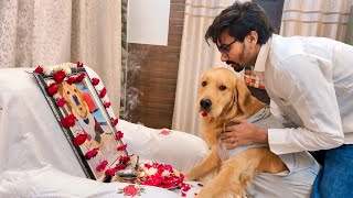 Download lagu Good Bye Leo💔 mp3