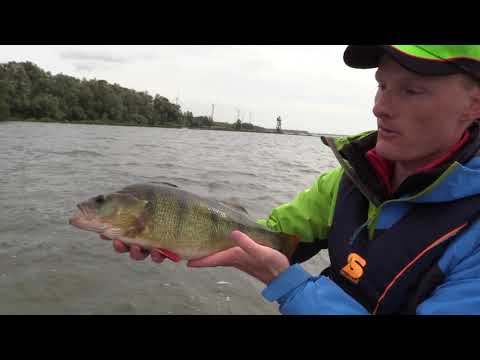 Predator Tour 2017 with Team FISCH & FANG