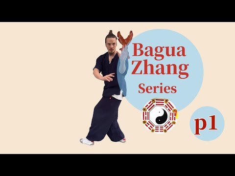 Learn Bagua Zhang Basics Step by Step (Part 1/5)