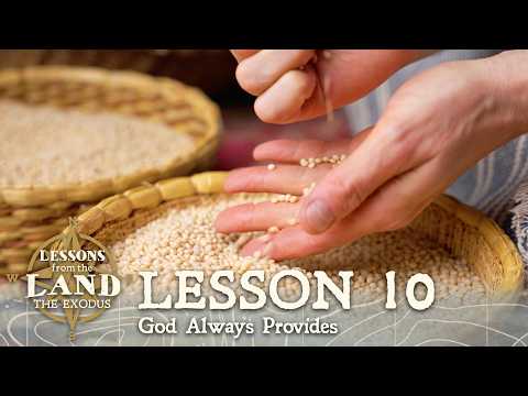 Why Did God Provide Manna in the Wilderness? Lessons from the Land the Exodus