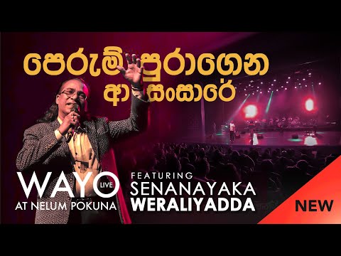 WAYO (Live) - Perum Puragena (පෙරුම් පුරාගෙන ආ සංසාරේ) by Senanayaka Weraliyadda