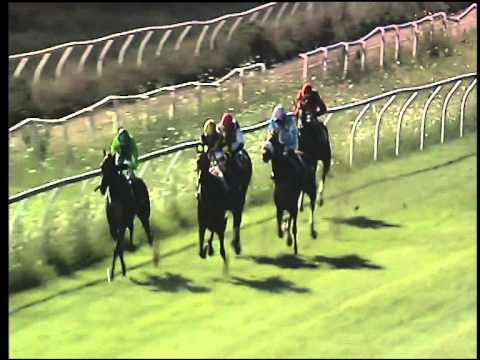 Galoppo 01/08/2015 - 1° corsa