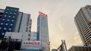夕暮れの納屋橋は、太田胃散のネオンが光り、ネコがネコを追い回す