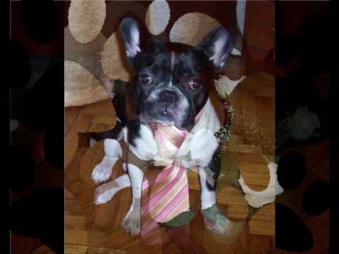 Happy birthday to you, Zaki!