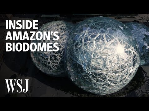 Inside Amazon's Spheres, the Biodome Office in Seattle | WSJ Open Office