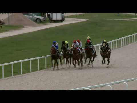 2021.08.01. 07. futam - MINERAL HENDIKEP (III.o.) (szintetikus pálya)