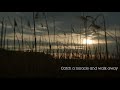 Catch A Miracle Lyric Video